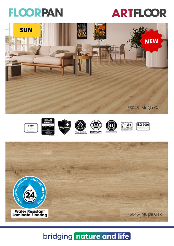 Floorpan 14