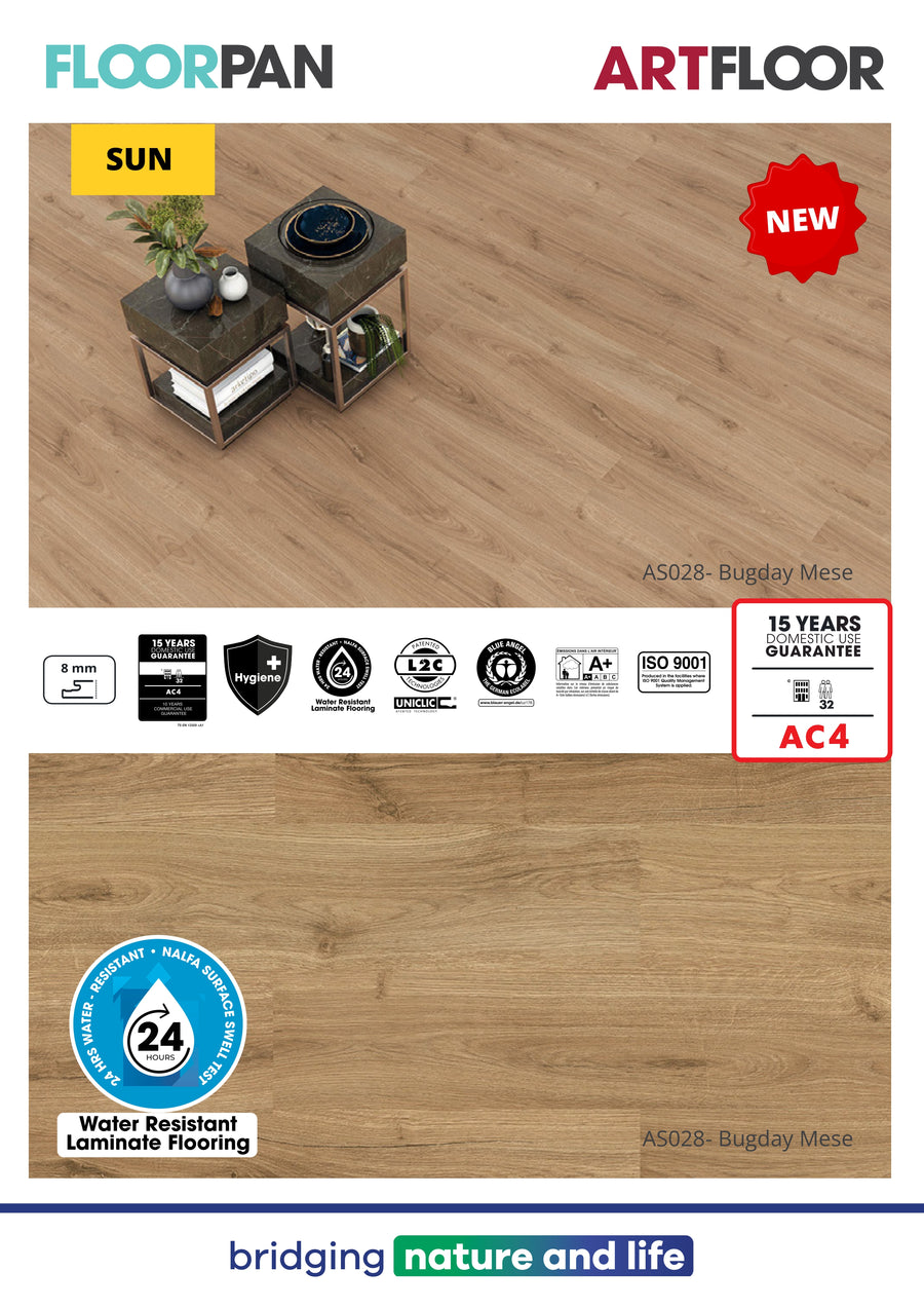 Floorpan 29