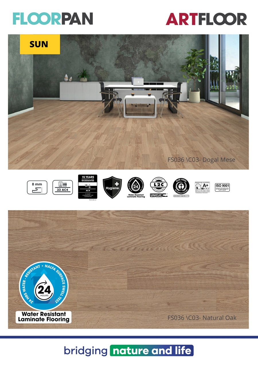 Floorpan 30