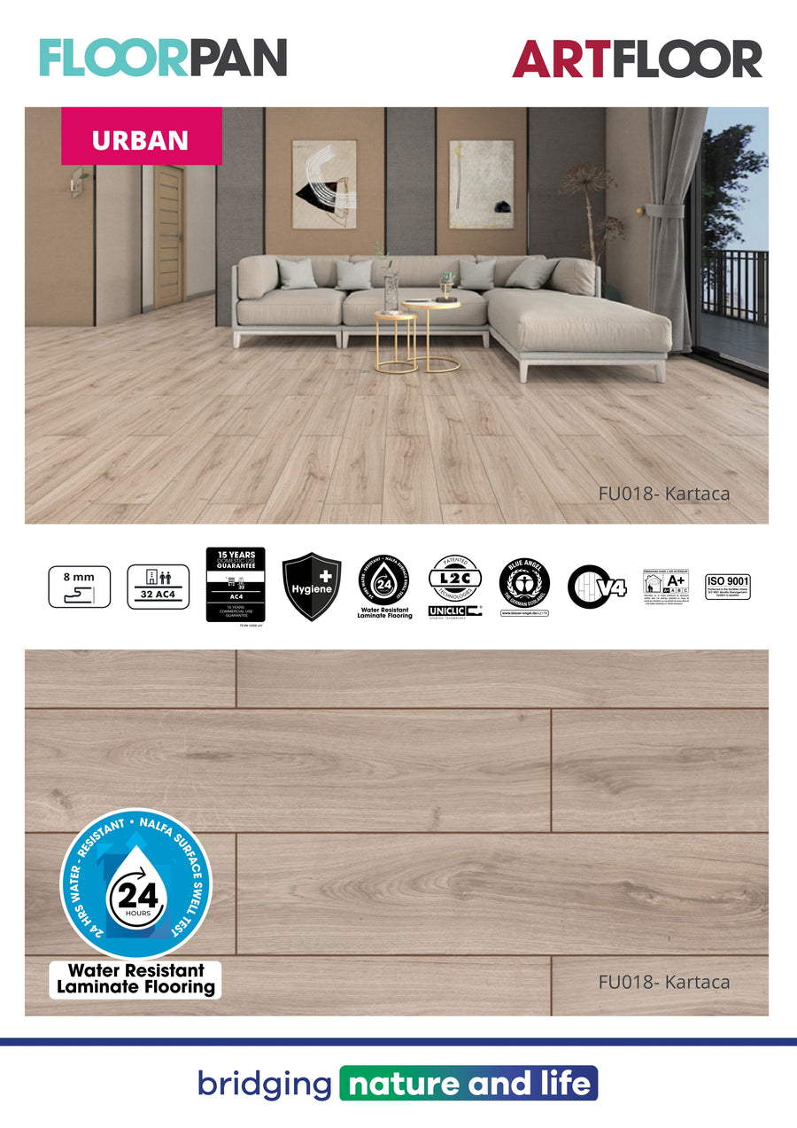 Floorpan 60