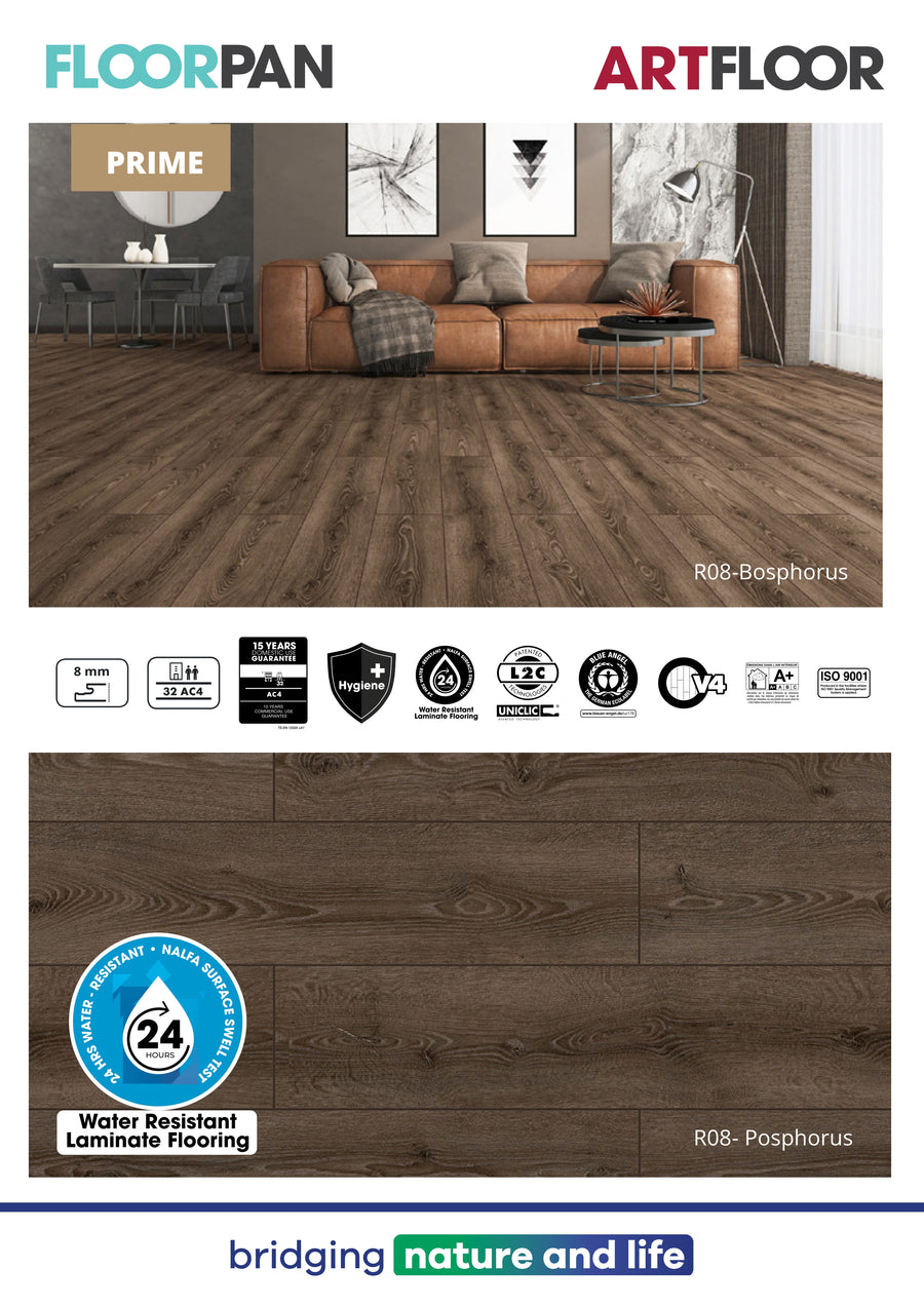 Floorpan 66
